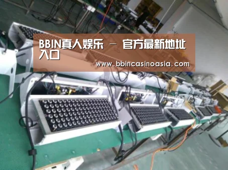 BBIN下载，BBIN赛事，BBIN棋牌，BBIN捕鱼案例展示一(图1)